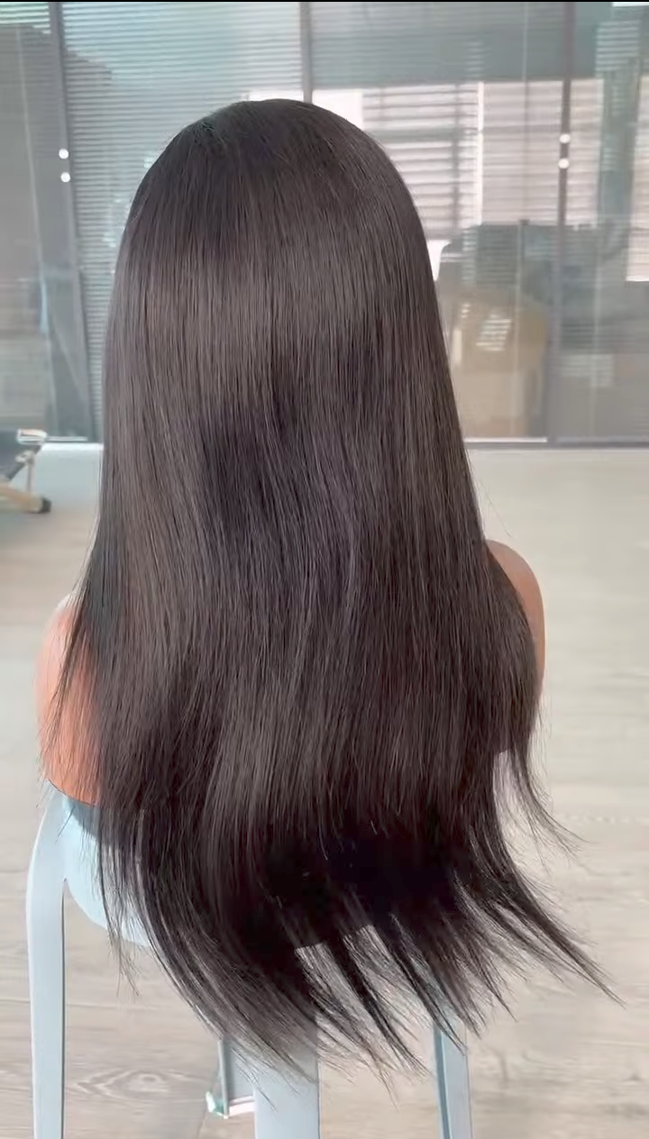 Straight Lace Frontal Wig